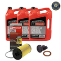 Ford Powerstroke 6.0L / 6.4L Oil Change Kit – Motorcraft FL2016 Filter, Engine Oil & Drain Plug (2003–2010 Super Duty) w/ Install Guide