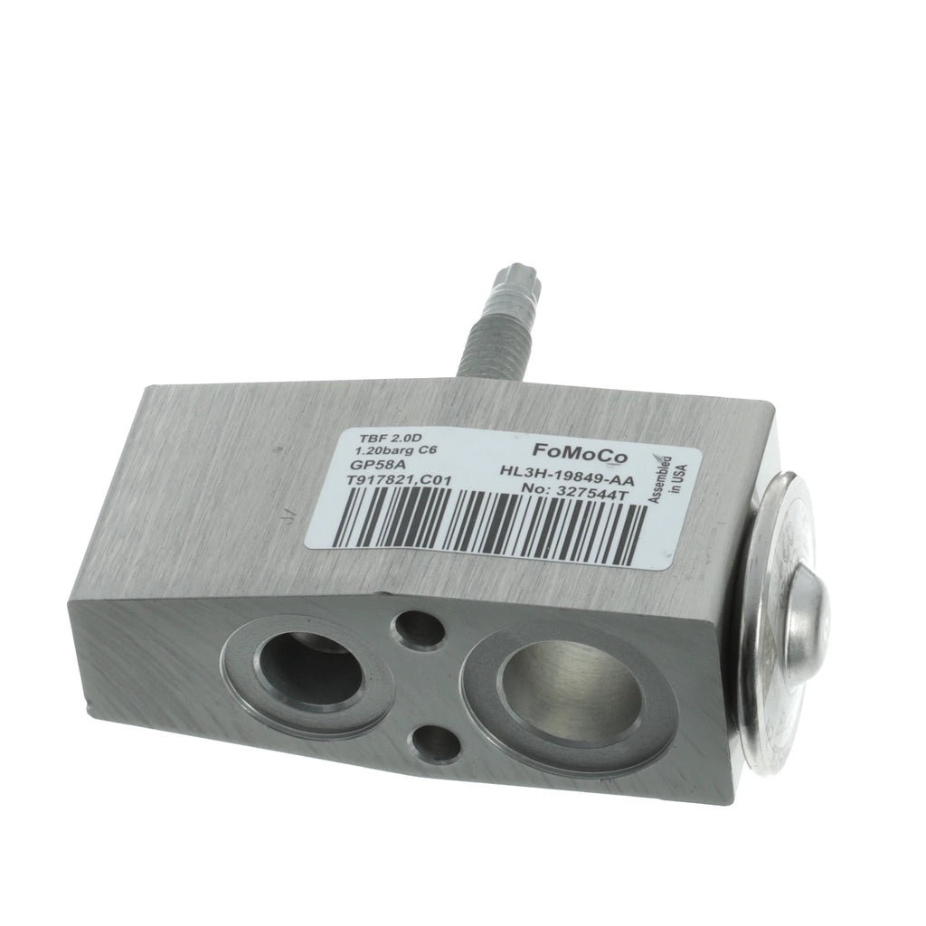 Ford A/C Expansion Valve HL3Z-19849-D | F-150 F-250 F-350 F-450 F-550 + Free Install Video