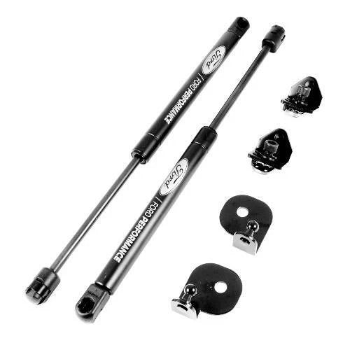 Ford Performance Hood Lift Strut Kit M-16826-MA | Mustang 2015–2023 GT EcoBoost V6 + Install Video